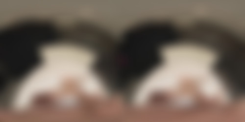 SLR_No2StudioVR_After The Bachelor Party_original_27769_LR_180.mp4