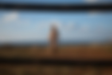 2022phdee/2022-02/[photodromm] 2022-02-14 Margot - Western Slope II (x46, 3000 px)/Western Slope II (43).jpg