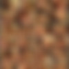 Cynara Fox/Screens