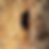 [photodromm.com] 2018-11/[photodromm.com] - 2018.11.08 - Nadine - Mosquitos Coast (x42) 2000x3000