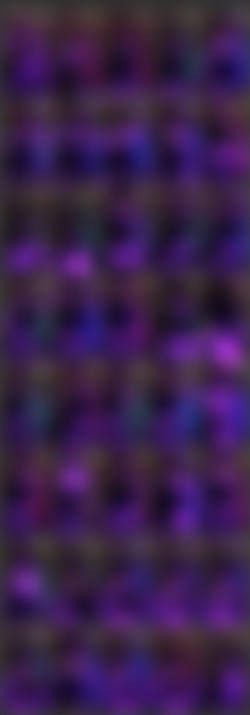 [OnlyFans.com] Moonlighty_  - SiteRip/Video Screens/5b1d3125-9f73-4147-80da-ca75001667ef.m4v.jpg