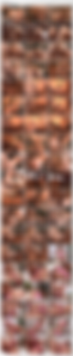 Young And Stacked 1-9 [11xDVD9]/_screens/YS2_VTS_01_5.VOB_thumbs.jpg