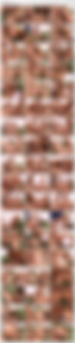 Young And Stacked 1-9 [11xDVD9]/_screens/YS3_VTS_01_2.VOB_thumbs.jpg