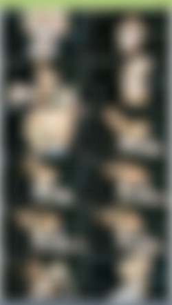 OnlySimps/josephinexxx/Previews/0AD67A26-B8F4-4391-A9CB-B105908E4BF3.mp4.jpg