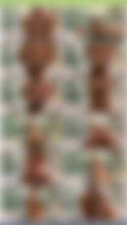 OnlySimps/josephinexxx/Previews/10D63850-DAF5-48F7-A772-7C6549D33947.mp4.jpg
