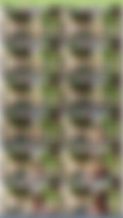 OnlySimps/josephinexxx/Previews/7E9C5B1F-6C4D-491D-B147-F392A52BBAC7.mp4.jpg