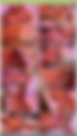 OnlySimps/josephinexxx/Previews/C6E3680A-487D-4540-AEEE-0CB59FD0BB78.mp4.jpg