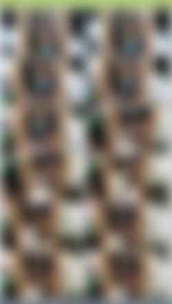 OnlySimps/josephinexxx/Previews/D2DD1A52-5354-4849-AB3C-C09D61CD32D7.mp4.jpg