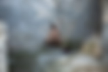 2022phdee/2022-04/[photodromm] 2022-04-26 Ruth - Mistery Tour II (x46, 3000 px)/Mistery Tour II (11).jpg