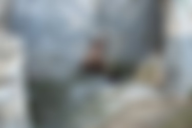 2022phdee/2022-04/[photodromm] 2022-04-26 Ruth - Mistery Tour II (x46, 3000 px)/Mistery Tour II (12).jpg