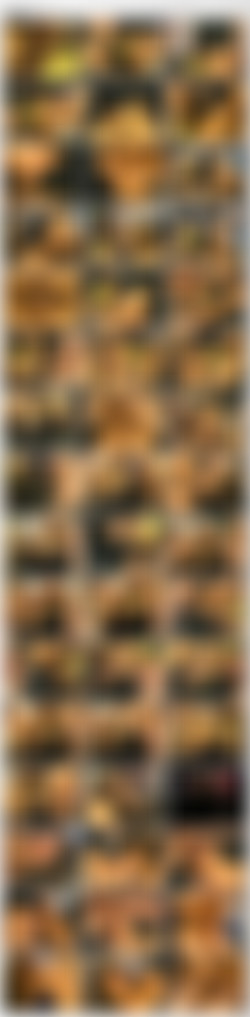 Volle Kanne Pisse [DVD5]/_screens/VTS_01_2.VOB_thumbs.jpg