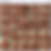 Brutal-Facesitting.com/2006/images