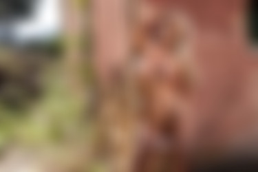 [photodromm.com] 2017-10/[photodromm.com] - 2017.10.16 - Yasmin - Legally Blonde (x46) 2000x3000/28l.jpg