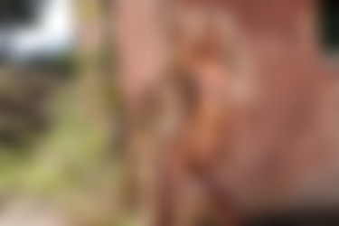 [photodromm.com] 2017-10/[photodromm.com] - 2017.10.16 - Yasmin - Legally Blonde (x46) 2000x3000/29l.jpg