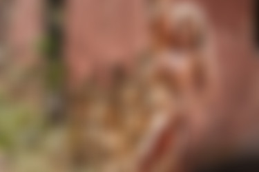 [photodromm.com] 2017-10/[photodromm.com] - 2017.10.16 - Yasmin - Legally Blonde (x46) 2000x3000/36l.jpg