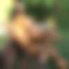Amanda thumbnail