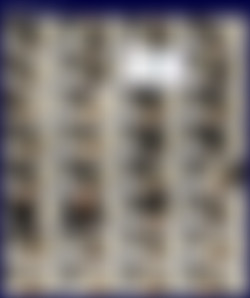 xailormoon/Screens/2020-01-21_5e264aee8f028a7fc2a47.mp4.jpg