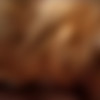 Live Bait 1 (1998) thumbnail