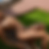 [photodromm.com] 2018-09/[photodromm.com] - 2018.09.30 - Supersize Selection Of Month (x14) 2666x4000