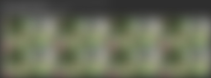 [OnlyFans.com] Kiera Jaston (@kierajaston)/_screens/19-07-12 5460999 What would you do if you were walking in the woods the opposite way 848x480.mp4.jpg