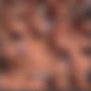 Anna Belli thumbnail