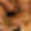 [Z-Faktor] Shitmaster Series thumbnail