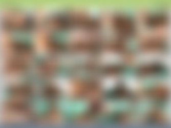 Gangland White Boy Stomp 11/screens/VTS_02_4.VOB.png