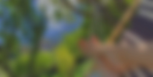 [Onlyfans.com] Goddess Alessa (@alescoulier)/Horizontal/(2019-09-14) - -110.mp4