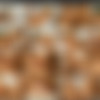 dpfanatics.com 2007-07-19 to 2012-03-03