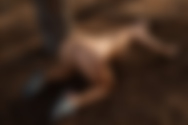 [PHD] 2024-12/04 Jenielou - Woodland/46l.jpg