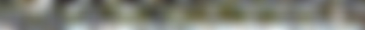 Beshine - Huge Big Boobs Action At The Country [HD1080].mp4 screencaps